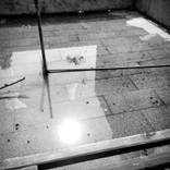 Reflection - Limited Edition 1 of 25 by Olga Zinovyeva
