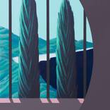 Contrasting Serenity: Cypress Tress (Architected Landscape 82) by Jessica Rae Ecker