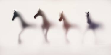 Original Abstract Animal Photography by Sven Pfrommer