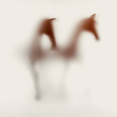 Original Abstract Animal Photography by Sven Pfrommer