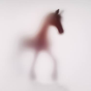 Original Abstract Animal Photography by Sven Pfrommer