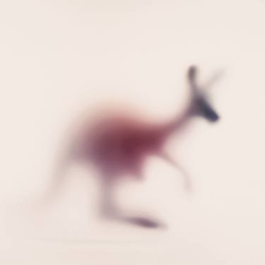 Original Animal Photography by Sven Pfrommer