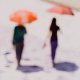 Collection Gifts for Any Occasion