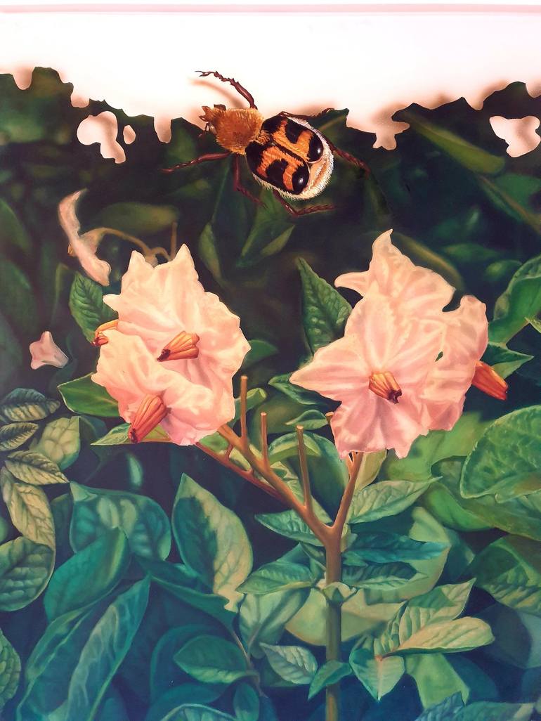 Print of Surrealism Nature Paintings by Ximo Gascón