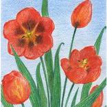 Collection Art: Landscapes, still-lifes etc. 