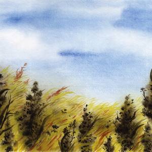 Collection Art: Landscapes, still-lifes etc. 