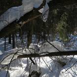 Collection "In to the light: Winter day" - Photos for print