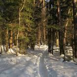 Collection "In to the light: Winter day" - Photos for print