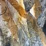 Close up of detail.