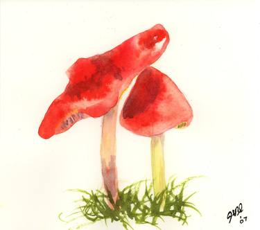 Original Botanic Paintings by Joyce Ann Burton-Sousa