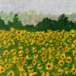 Sunflower field by Natalia Bobrova