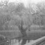 view additional image 1