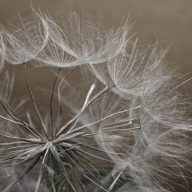 Original Nature Photography by Maja Hrnjak