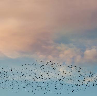 Print of Minimalism Nature Photography by Maja Hrnjak