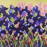 Dark Blue Iris by Pamela Gatens