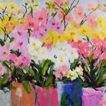 Rainbow Orchids by Pamela Gatens