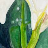 Peace Lily #1 by Mieke Teelen