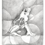 Dynamic study of a frog by Martin Cambriglia