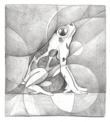 Dynamic study of a frog thumb