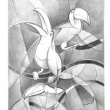 Dynamic study of three toucans by Martin Cambriglia