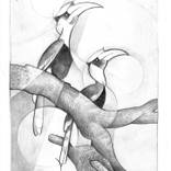 Dynamic study of two Hornbills by Martin Cambriglia