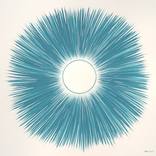 Light by Cristina Perneta