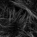 Circle Garden by Robert Tolchin