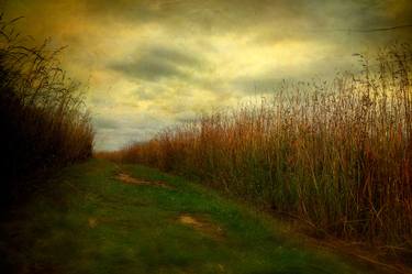 Original Landscape Photography by Robert Tolchin