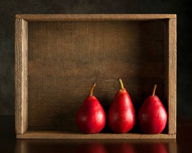 Original Figurative Still Life Photography by Robert Tolchin