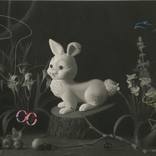 Arcadian Bunny by Nicholas Pace
