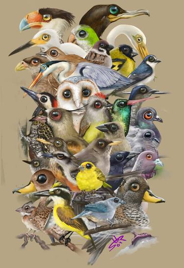 Print of Animal Digital by Tito Saenz Rozas
