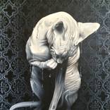 Dripping Sphynx by Stephanie LeVasseur