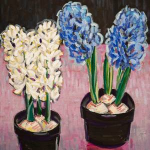 White and Blue Hyacinths