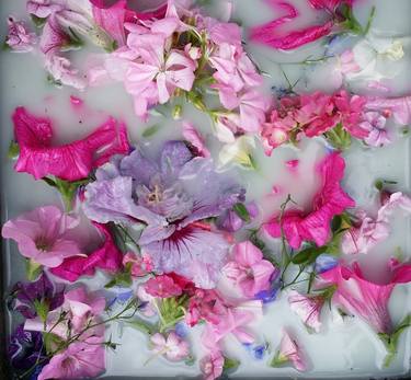 Original Figurative Floral Photography by Els Driesen