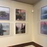 In a grouping of Pink Pond series