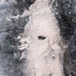 The Lady Vanishes by she varies vague
