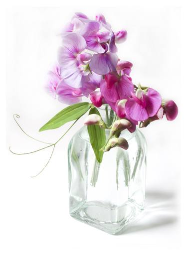 Original Photorealism Floral Photography by K-Loong Wong