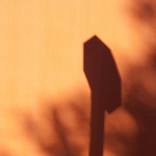 Collection SPELLINGS LIGHT COLOR