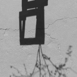 Collection Spellings Lights, graphics facts -  Organography