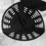 Collection Spellings Light Figurative