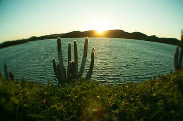 Print of Documentary Seascape Photography by Ordí Calder