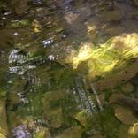 Collection Second Reality