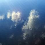 Collection Second Reality