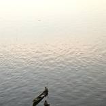 Collection Fine Art Collection - Zen Fishers