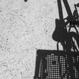 Collection Smart Spellings