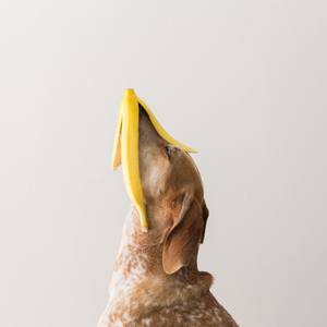 Maddie with a Banana
