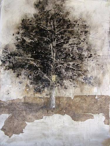 Original Tree Drawings by Claudio Cecchetti