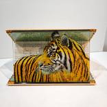 Collection ANIMAL TALES by Schrieber-Smith