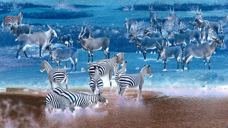 View in a Room Artwork