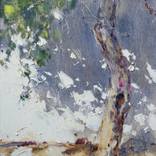 apple tree. shadow (2020) by Pavlo Gryniuk